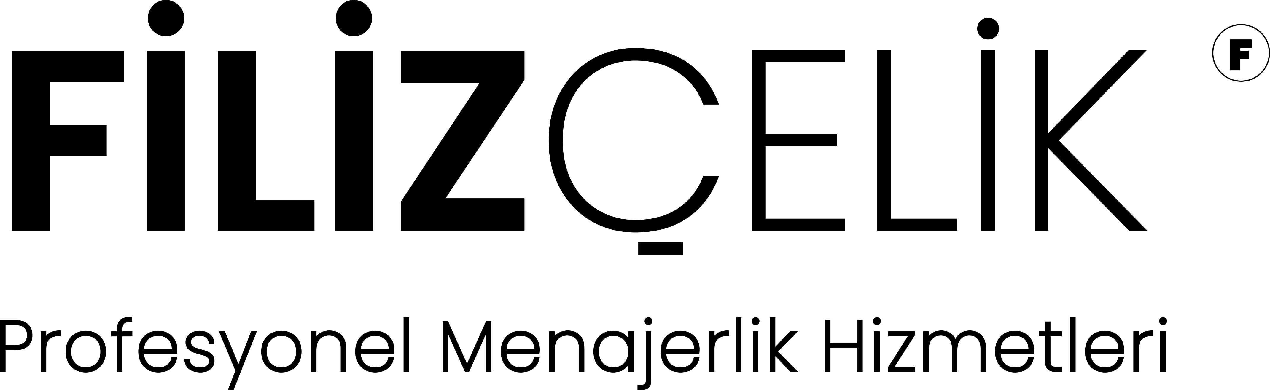 Filiz Çelik Logo